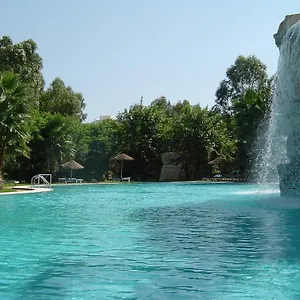 Отель Shell & 4*