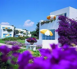 Sheraton